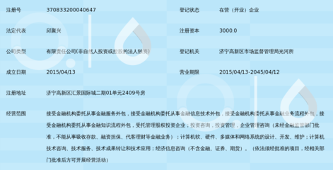 山东土生金融信息服务